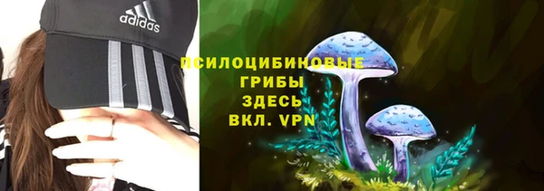 мяу мяу мука Алзамай