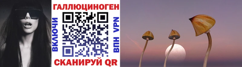 Галлюциногенные грибы Cubensis  где найти   Нефтекумск 